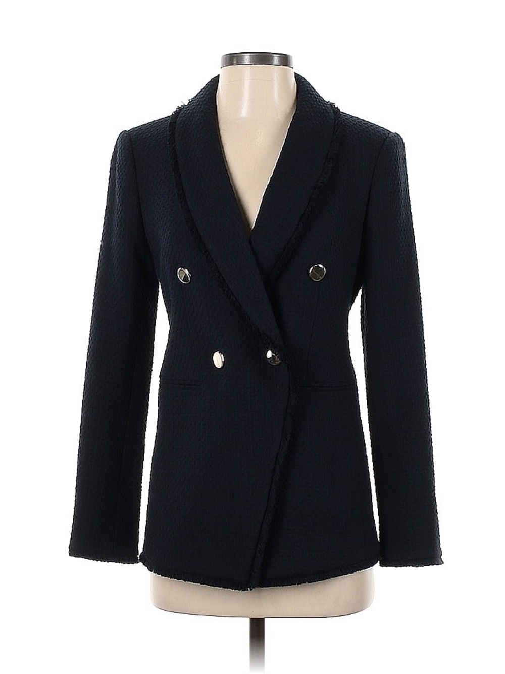 Ann Taylor Blazer